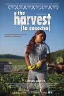The Harvest