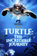 Turtle: The Incredible Journey