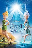 Secret of the Wings