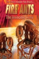Fire Ants 3D: The Invincible Army