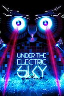 EDC 2013: Under the Electric Sky