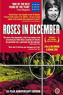 Roses in December