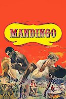 Mandingo