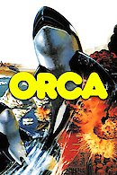 Orca - The Killer Whale
