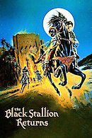 The Black Stallion Returns