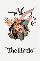 The Birds