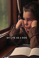 Mitt Liv som Hund (My Life as a Dog)