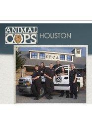 Animal Cops: Houston