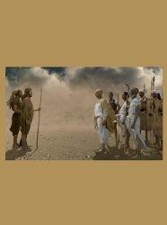 Biblical Plagues