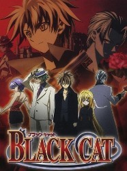 Black Cat