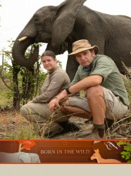 Born in the Wild