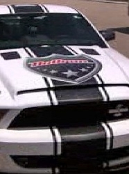 Bullrun 2009
