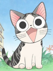 Chi's Sweet Home