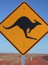 Dining Downunder