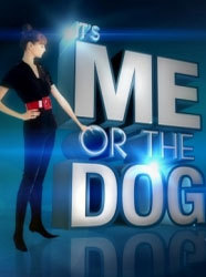 It's Me or the Dog