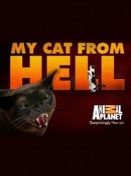 My Cat From Hell