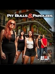 Pit Bulls and Parolees