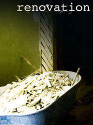 Renovation Realities
