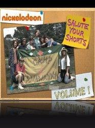 Salute Your Shorts 