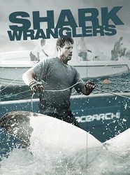Shark Wranglers