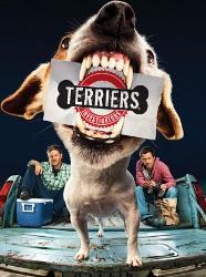 Terriers