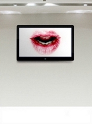 The Frame