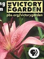 Watch The Victory Garden Online - Full Episodes of Season 1 | Yidio
