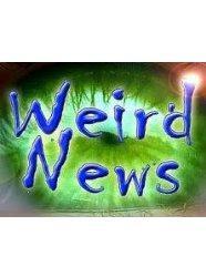 Weird News